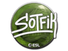 S0tF1k | Katowice 2019