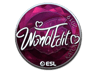 WorldEdit (Foil) | Katowice 2019