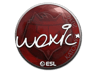 woxic | Katowice 2019