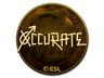 xccurate (Gold) | Katowice 2019