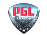 PGL (Foil) | Krakow 2017