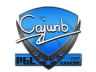 cajunb | Krakow 2017