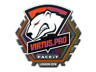 Virtus.Pro (Holo) | London 2018