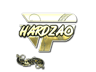 hardzao (Gold) | Paris 2023