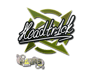 headtr1ck | Paris 2023