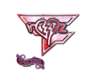 ropz (Holo) | Paris 2023