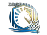 Liquid (Foil) | 2020 RMR