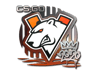 Virtus.pro | 2020 RMR