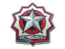 Distinguished Master Guardian