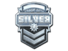 Silver (Foil)