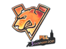 Virtus.Pro (Holo) | Stockholm 2021