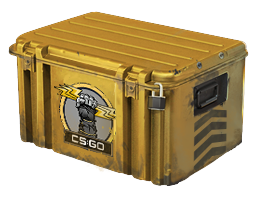 Glove Case