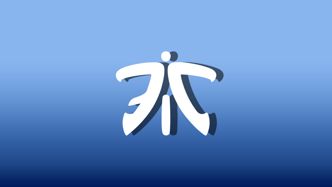 fnatic reflection