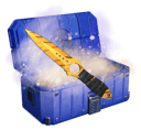 100% profit case