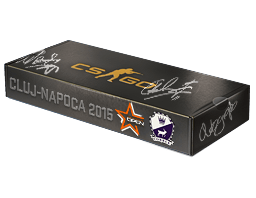DreamHack Cluj-Napoca 2015 Cobblestone Souvenir Package