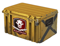 Falchion Case