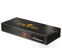 DreamHack 2014 Mirage Souvenir Package
