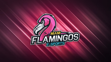 Miami Flamingos Wallpaper - By RealwhOunz