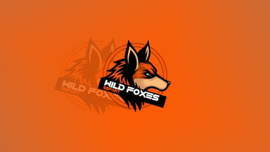 Wild Foxes Esport
