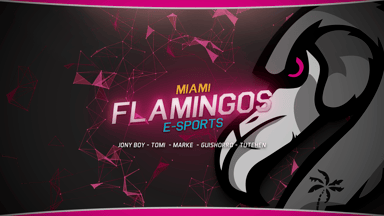Miami Flamingos