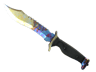 ★ Bowie Knife | Case Hardened