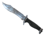 ★ Bowie Knife | Rust Coat