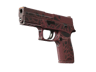 P250 | Contaminant