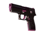 P250 | Vino Primo