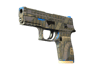 P250 | Exchanger