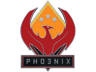 Phoenix Pin