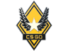 Victory Pin