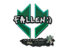 FalleN | Antwerp 2022