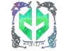 Imperial Esports (Holo) | Austin 2025
