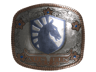 Team Liquid (Foil) | Austin 2025