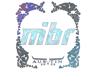 MIBR (Holo) | Austin 2025