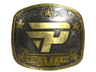 paiN Gaming (Gold) | Austin 2025