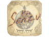 Senzu | Austin 2025