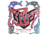 xfl0ud (Holo) | Austin 2025