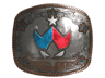 Wildcard (Foil) | Austin 2025
