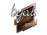 byali (Foil) | Boston 2018