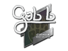 gob b | Boston 2018