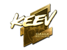 keev (Gold) | Boston 2018