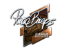 pashaBiceps (Foil) | Boston 2018