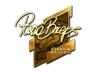 pashaBiceps (Gold) | Boston 2018