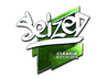 seized (Foil) | Boston 2018