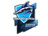 Vega Squadron (Foil) | Boston 2018