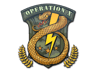 Badge of Service
