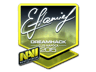flamie (Foil) | Cluj-Napoca 2015