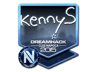 kennyS (Foil) | Cluj-Napoca 2015