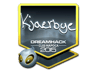 Kjaerbye (Foil) | Cluj-Napoca 2015